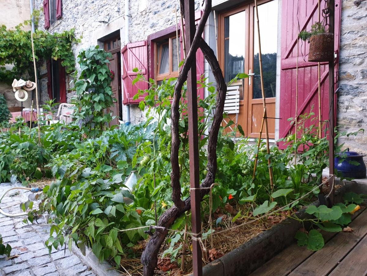 Chambre Et Table D'Hotes La Grande Ourse Sauveterre-de-Comminges Eksteriør billede